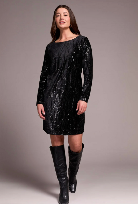 Sequin Velvet Lined A-Line Dress