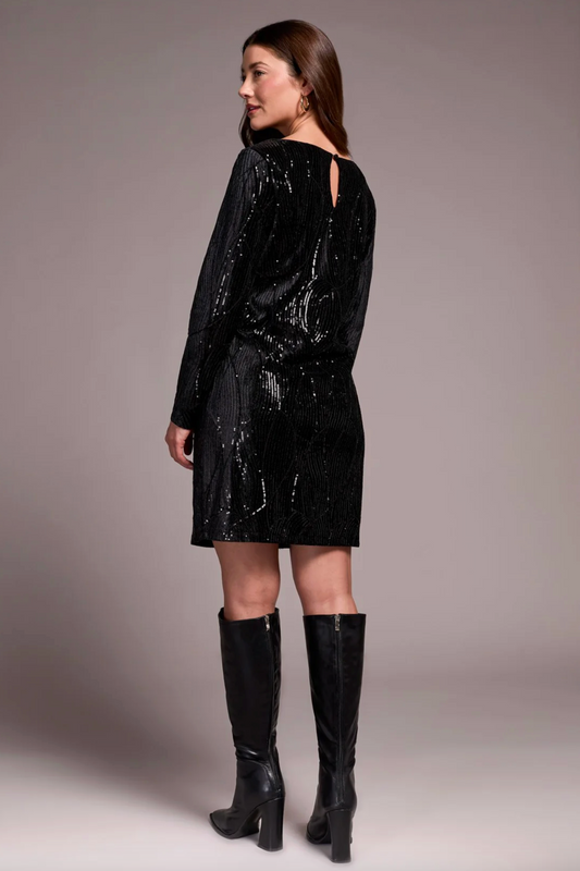 Sequin Velvet Lined A-Line Dress