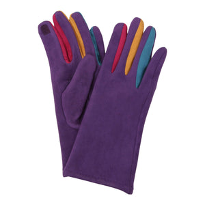 Purple & Multicolor Texting Gloves